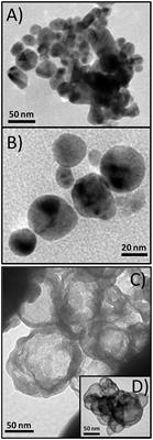 Structure Differentiation of Hydrophilic Brass Nanoparticles Using a Polyol Toolbox